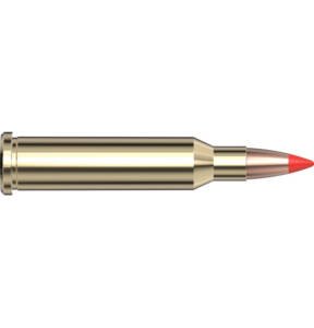 17 hornet ammo